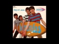 summer fun, the barracudas
