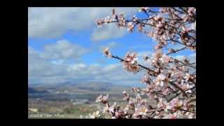 Manzara Ve Doga... S. Cem Akin