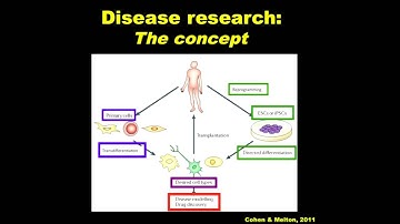 Rudolf Jaenisch - Better Cells for Better Therapies: Basic Biology & Genomic Engineering of Human iP
