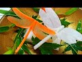 【細工野菜】赤トンボ　作り方　Dragonfly　carrot　made in Japan