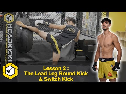 Lesson 2 : The Lead Leg Round Kick & Switch Kick