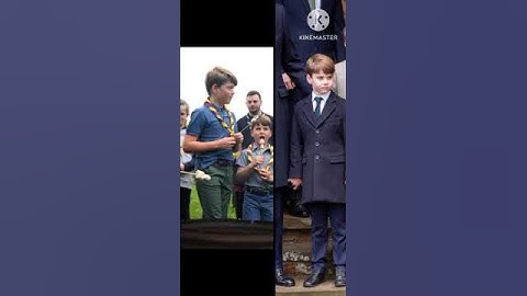 Prince Louis imitates Prince George doing his hair