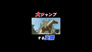 【バグ】すごく高く飛び上がる英傑【ゼルダの伝説 ブレスオブザワイルド】