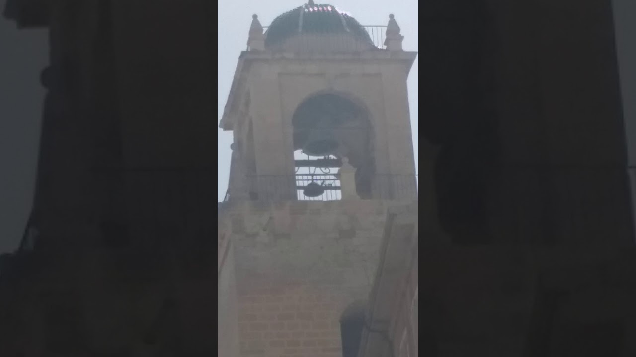 Toque de las 11 de la mañana en la catedral de orihuela