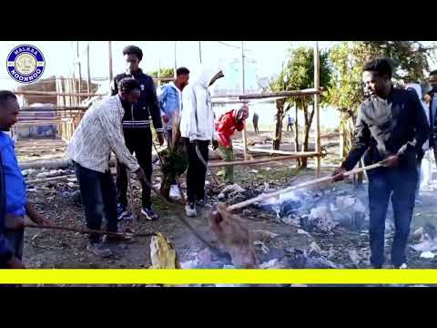 Shaggar Malkaa Noonnotti Duula Qulqullinaa 2025