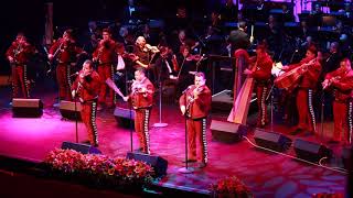 Mariachi Los Camperos - La Morena