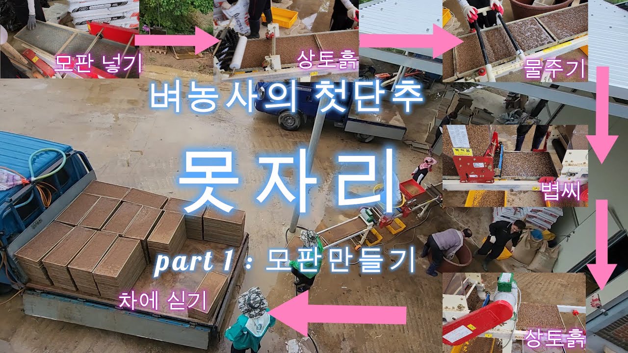 지기네 벼농사의 첫단추 못자리 Part1 모판만들기 #벼농사 #모 #모판 #못자리 - YouTube