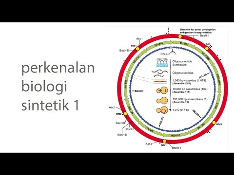 Video: Kehidupan Sintetis Tumbuh Dalam Tabung Reaksi - Pandangan Alternatif