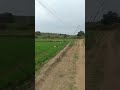 Farmer Land #shortsvideo #shorts #farming #peace #trending #bhopal