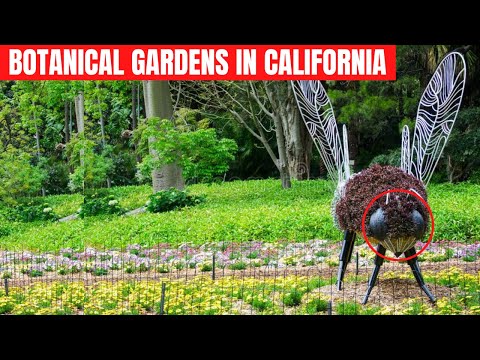 Vídeo: Most Beautiful Public Gardens in Los Angeles
