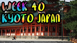 BEST OF KYOTO : The Bamboo Forest, Fushimi Inari-taisha, and The Ritz!! /// WEEK 40 : Kyoto, Japan