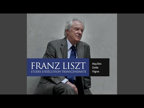 12 Etudes d'execution transcendante, S139/R2b: No. 12 in B Minor, "Chasse-neige"