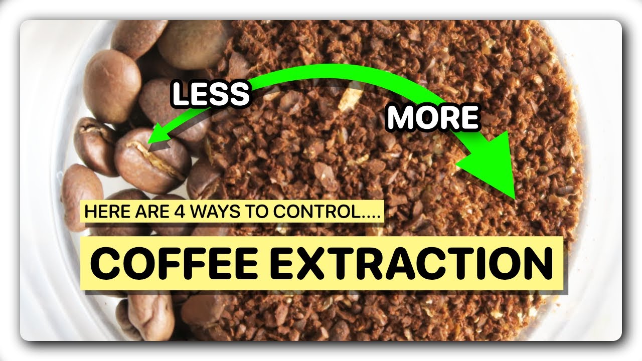 The Basics of Coffee Extraction YouTube