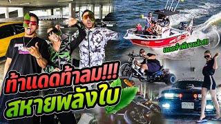 ท้าแดดท้าลม!!! สหายพลังใบ!!