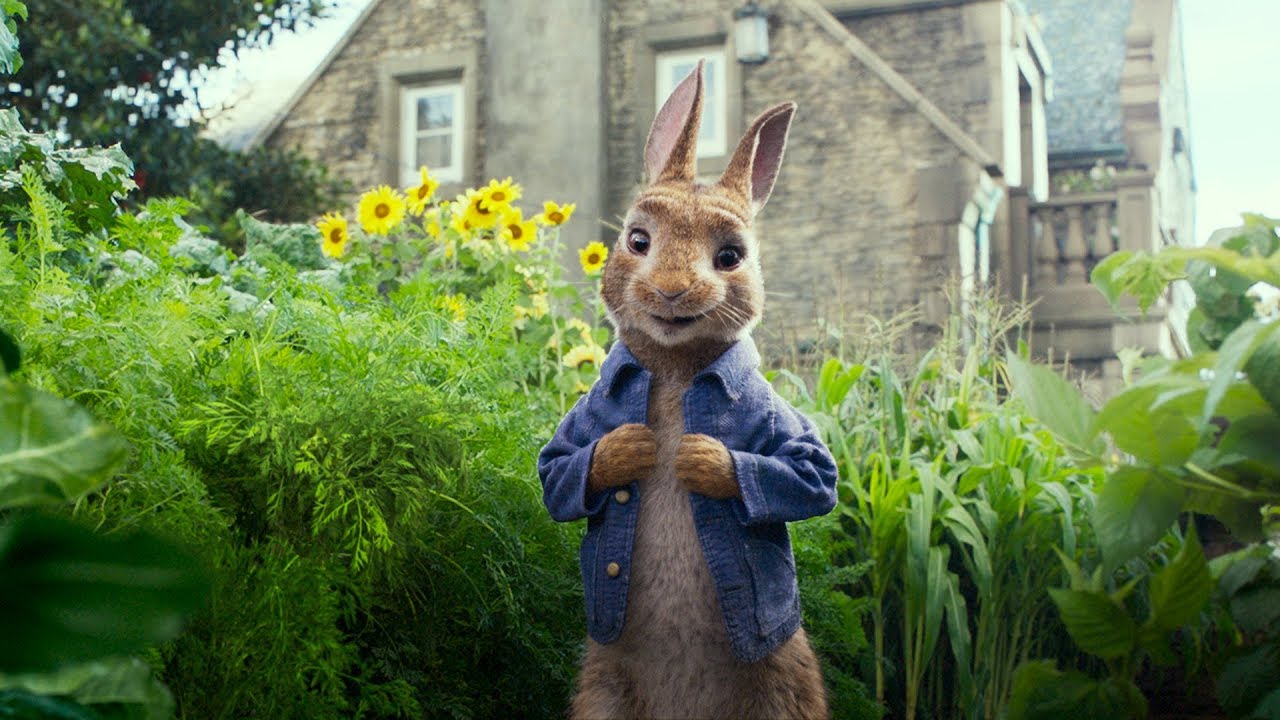 Las Travesuras De Peter Rabbit Trailer Oficial (2017) Sony Pictures YouTube