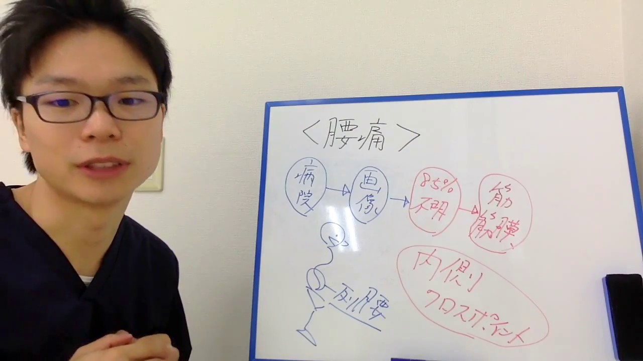 Kyoto Back Pain Fushimi Chiropractic] How to make your life