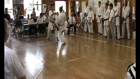 Okinawa 2010. Kenshu -- kaikan. Dan -- test. Kumite. Uechi ryu / Shohei ryu.