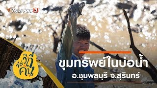 [Live] ขุมทรัพย์ในบ่อน้ำ อ.ชุมพลบุรี จ.สุรินทร์ : ซีรีส์วิถีคน (30 ธ.ค. 62)