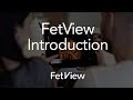 Fetview introduction