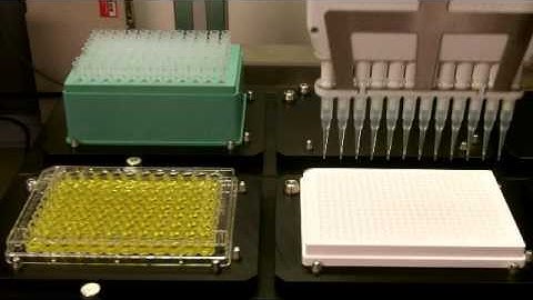 2µl transfer, 96 well plate to 3 quadrants of a 384 well plate.avi