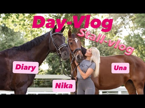Vlog am Stall 🩷☀️🫶🏼