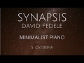 &quot;CATERINA&quot; - Minimalist Piano by David Fedele (Synapsis - Track 5)