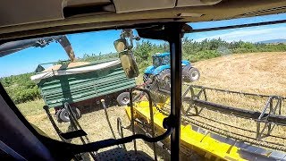 CABVIEW | Harvest | New Holland CR10.90 SmartTrax | Weizenernte 2019