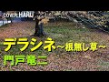 「デラシネ~根無し草~」門戸竜二 cover HARU
