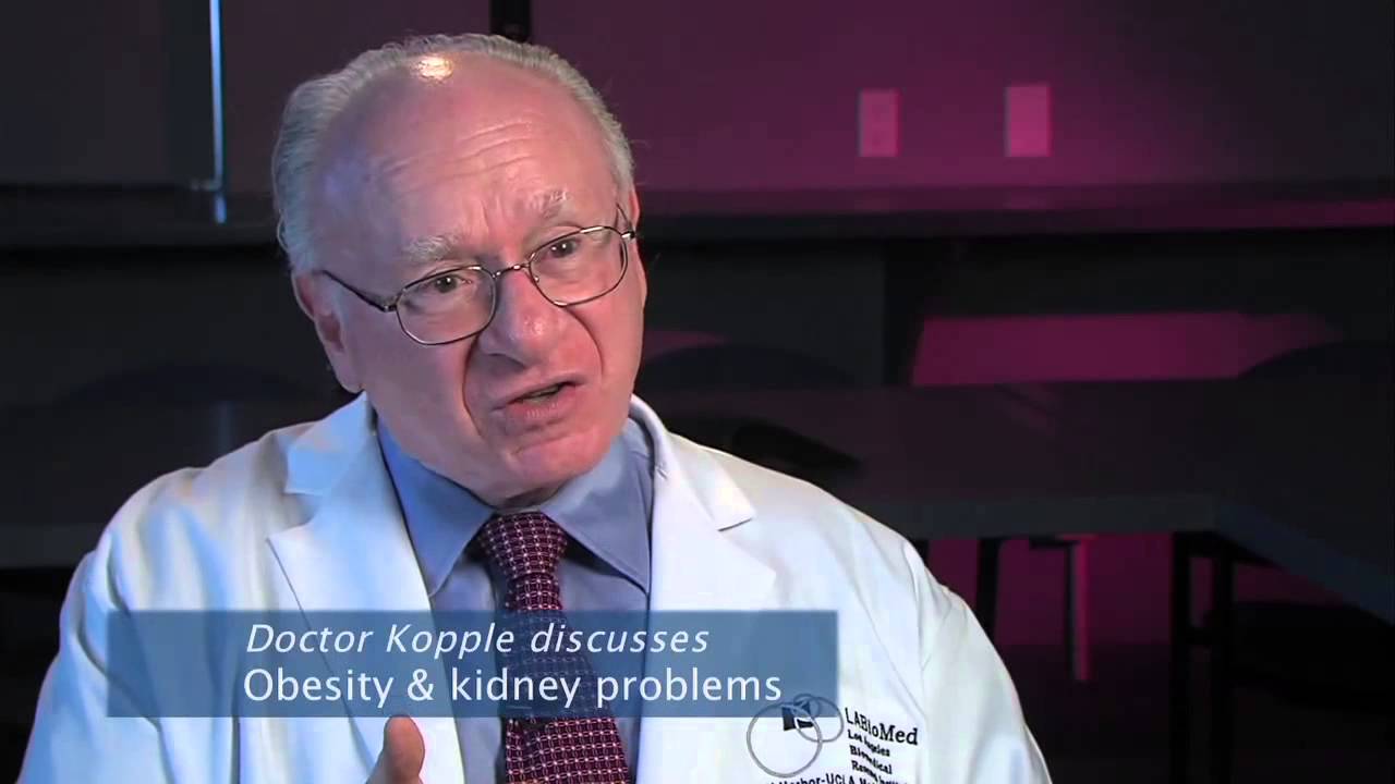 Obesity & Kidney Disease - Joel Kopple, MD