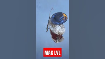 MAXIMUM Level in Red Dead Online