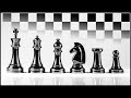 No Ordinary Chess Pieces! - Secrets Hidden Inside!