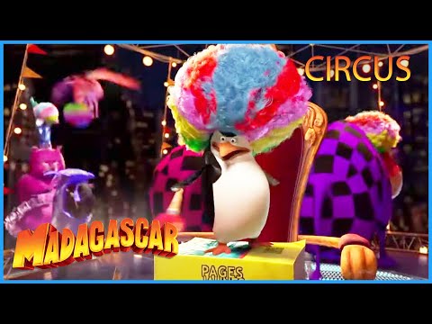 DreamWorks Madagascar | Operation Afro Circus | Madagascar 3:  Europe's Most Wanted | Kids Movies
