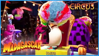 DreamWorks Madagascar | Operation Afro Circus | Madagascar 3:  Europe's Most Wanted | Kids Movies