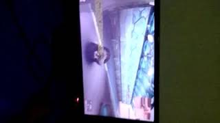 Wolfteami Cirkin Oynayan Arkadas