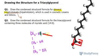 Drawing the Structure for a Triacylglycerol