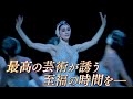 世界最高峰のバレエとオペラが映画館へ！映画『英国ロイヤル・オペラ・ハウス シネマシーズン 2019/2020』予告編