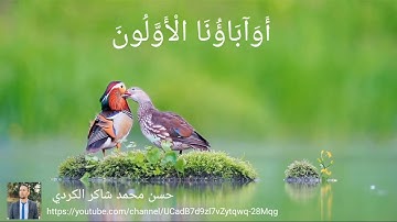 مقطع قصير لتلاوة القران الكريم تلاوة فوق الخيال تريح الاعصاب