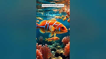 سورة الحجرات - سورة 49 - عدد آيات 18. بسم الله الرحمن الرحيم. يَا أَيُّهَا الَّذِينَ آمَنُوا