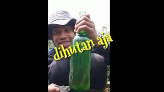 Story WA Gayo kerend,akibat CORONA dihutan aja,NGUKUS SERE.