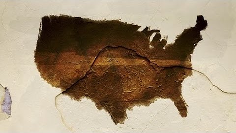 Race & Reality in America