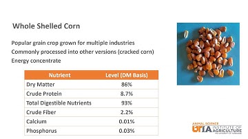 Beef Skillathon Study Series: Feedstuffs