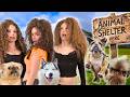 Kalogeras Sisters VOLUNTEER AT AN ANIMAL SHELTER