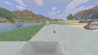spinning raw chicken