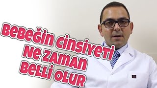 Filip Taşhan-28