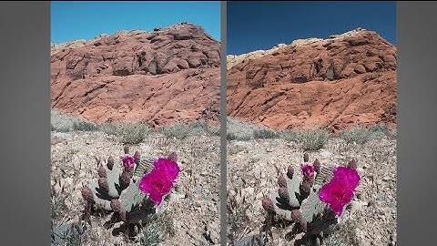 Shooting Under a Mid-Day Sun :  You Keep Shooting with Bryan Peterson: Adorama Photography TV