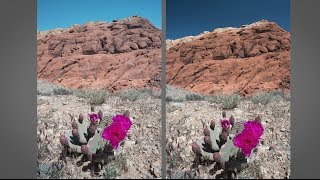 Shooting Under a Mid-Day Sun :  You Keep Shooting with Bryan Peterson: Adorama Photography TV