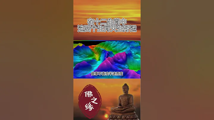 十二生肖当中！这四个生肖运气最好！前途无量一生富贵！#shorts 【佛之缘】 - 天天要闻