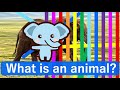 【どうぶつクイズ】どうぶつなあに？知育【赤ちゃん・子供向け英語】animal animation for kid