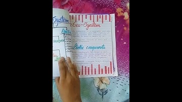 Class 10th SCIENCE project file (Our environment) 😃😃 @Mann marji