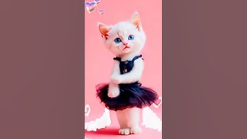 Top cutest cat dance❤️APT song style #cat #apt #funny #cutecat #rosé #brunomars #catlovers #aptdance